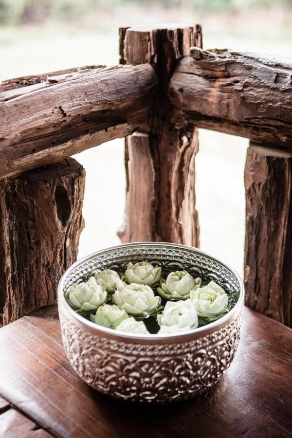 فندق شيانغ مايفي  The Chai Lai Orchid المظهر الخارجي الصورة